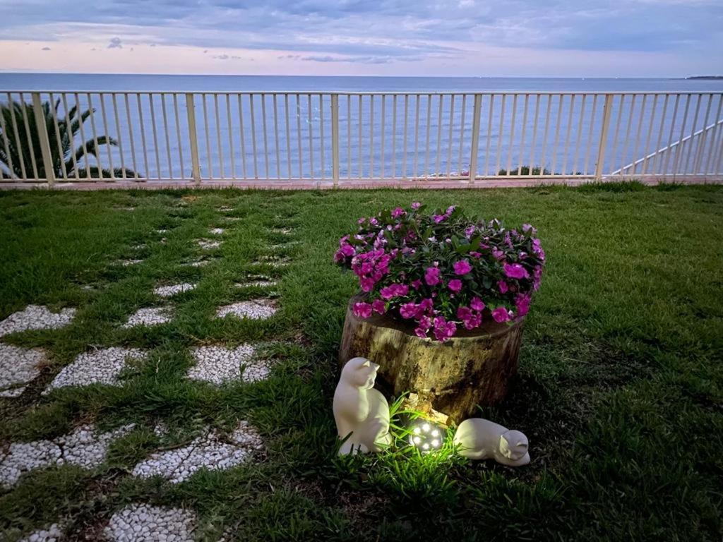 Villa Vela Αουγκούστα Εξωτερικό φωτογραφία